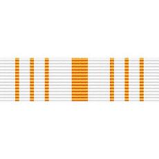Mississippi National Guard Recruiting Ribbon